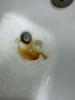 Baymont by Wyndham Daytona Beach / Intl Speedway主图