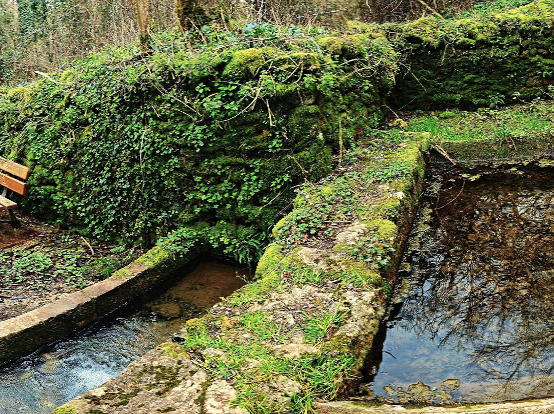 Lavoir De Trousse Chemise景点图片