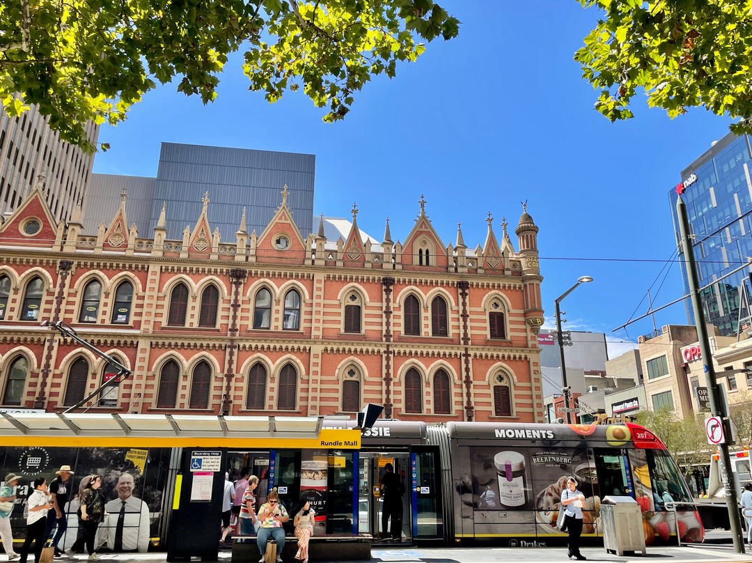 Adelaide Metro Free City Connector Bus and Tram-阿德莱德必去景点
