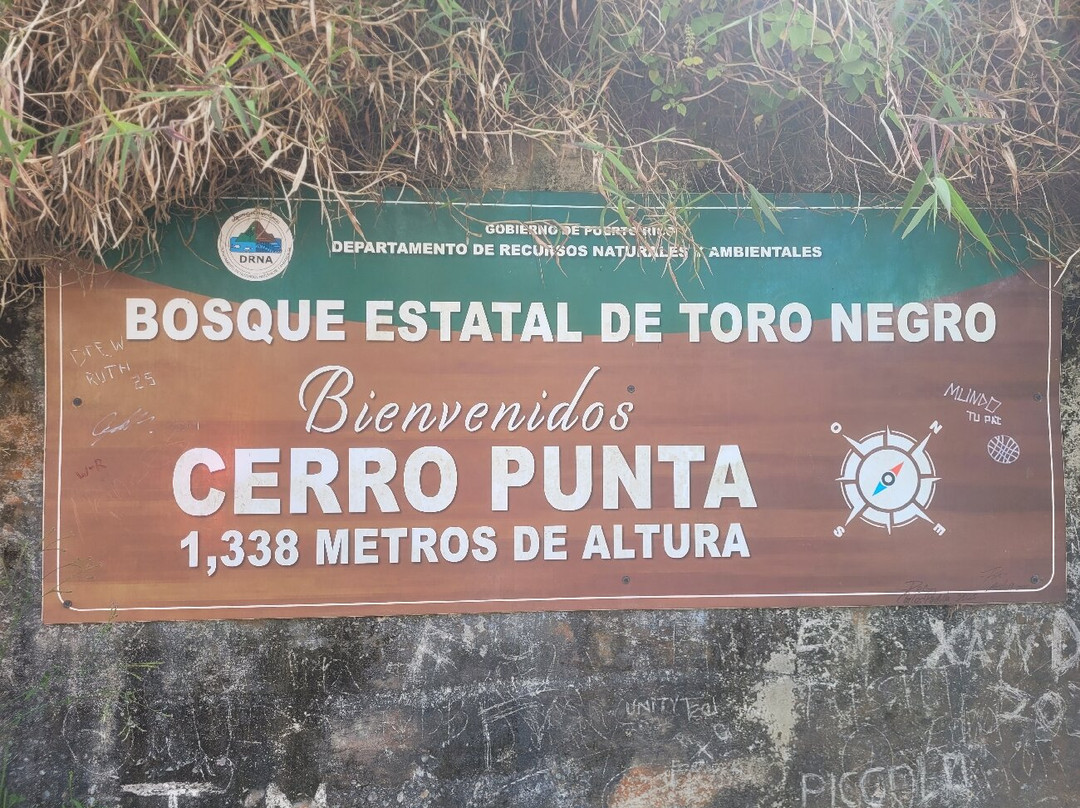 Cerro de Punta-Jayuya必去景点