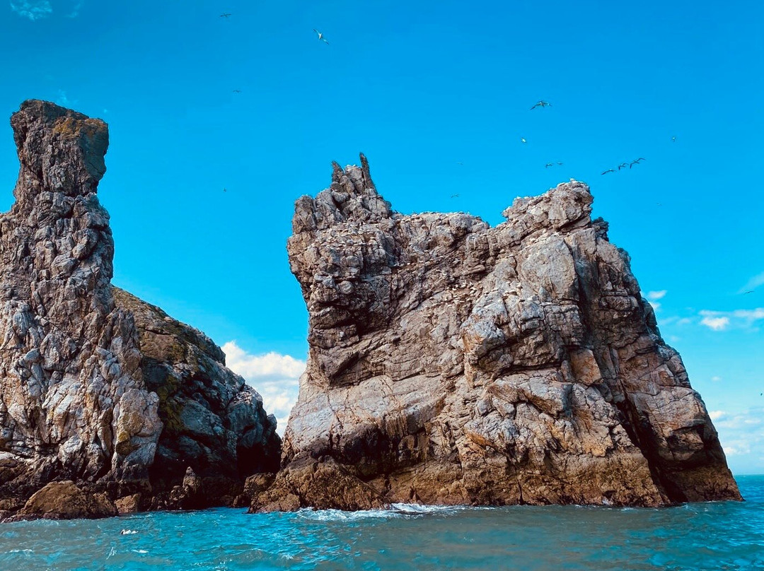 Ireland's Eye Ferries-霍斯必去景点