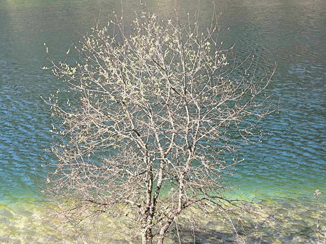 Les Iles Du Cheran景点图片