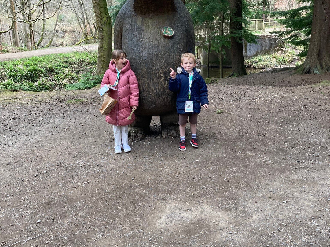 Hamsterley Forest-Hamsterley必去景点