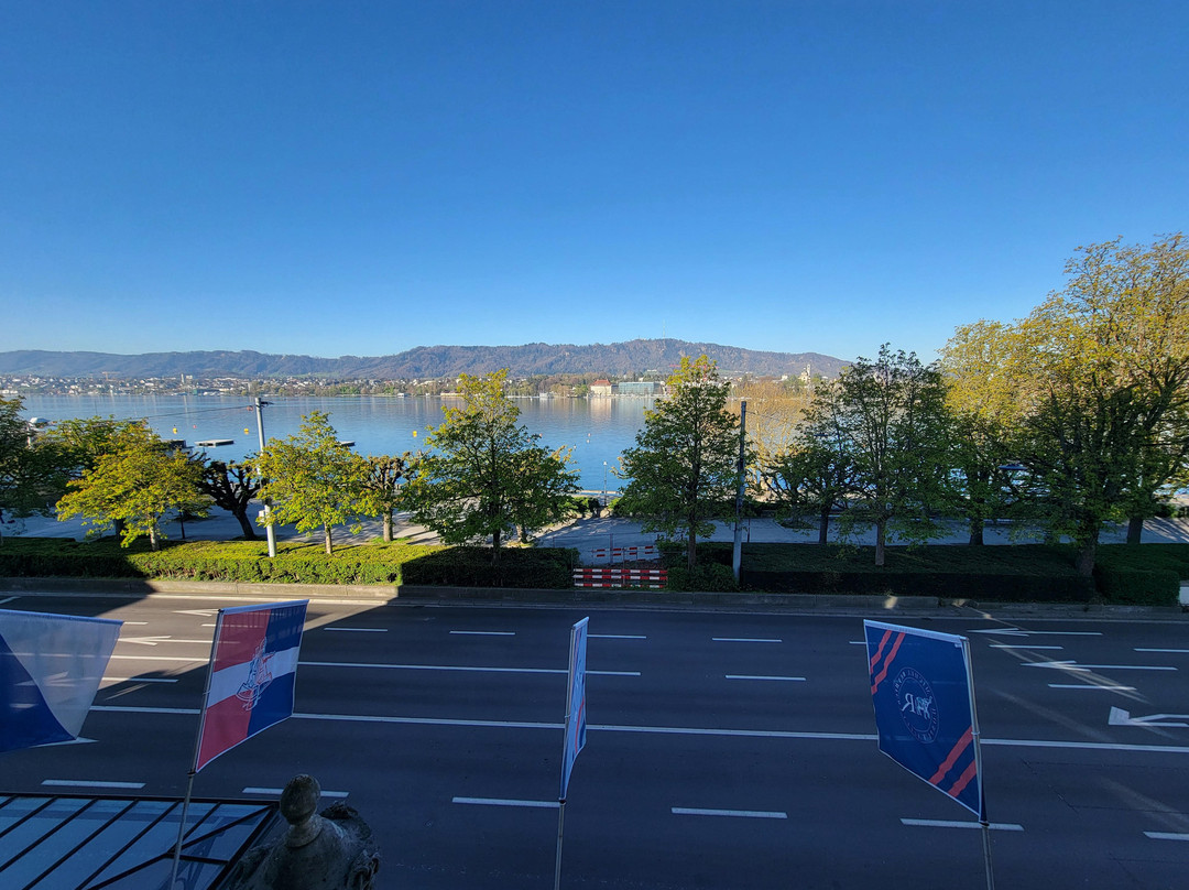 伊甸湖保护区苏黎世主图