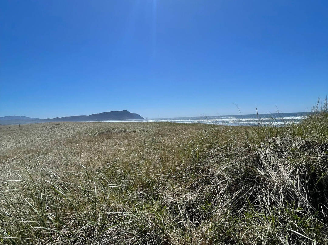 Drifthaven At Gearhart主图