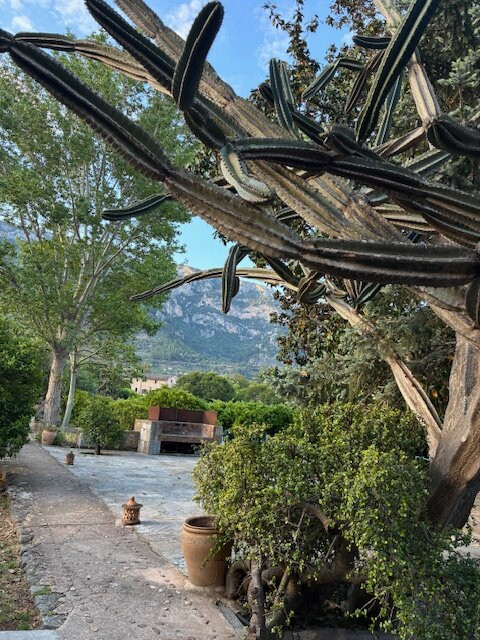 Finca Ca's Sant主图