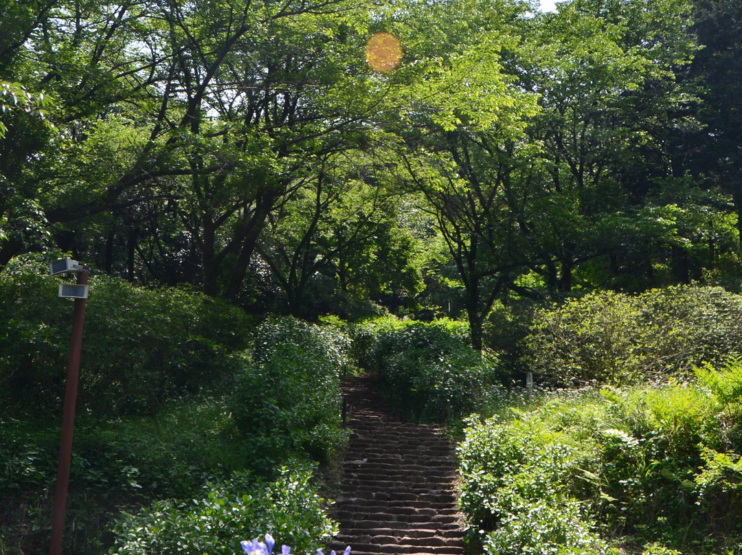 Nanasawa Forest Park-厚木市必去景点
