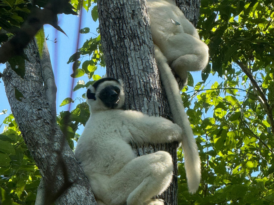 Madagascar Natural Tours-安塔那那利佛必去景点