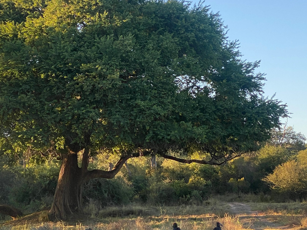 Victoria Falls Private Game Reserve-维多利亚瀑布必去景点