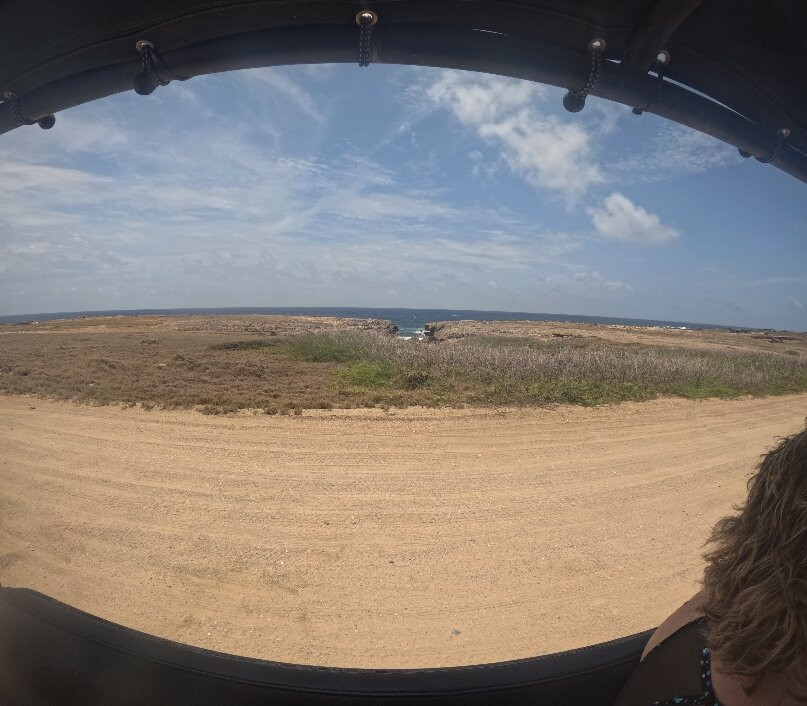 Isla Aruba Private Tours-奥腊涅斯塔德必去景点