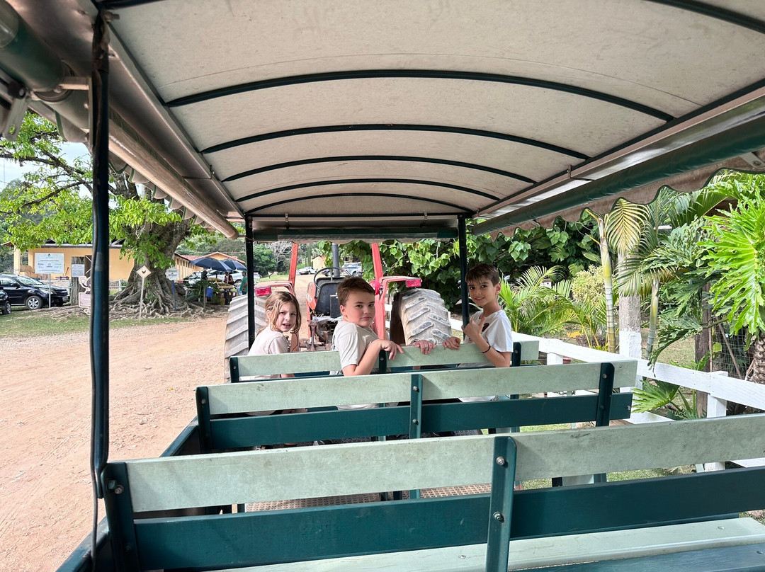 Fazenda Nossa Senhora da Conceicao-容迪亚伊必去景点