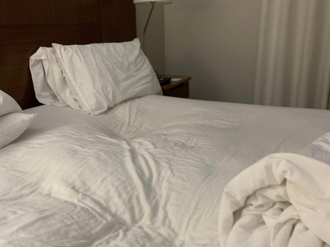 Fairfield by Marriott Inn & Suites Little Rock Benton主图