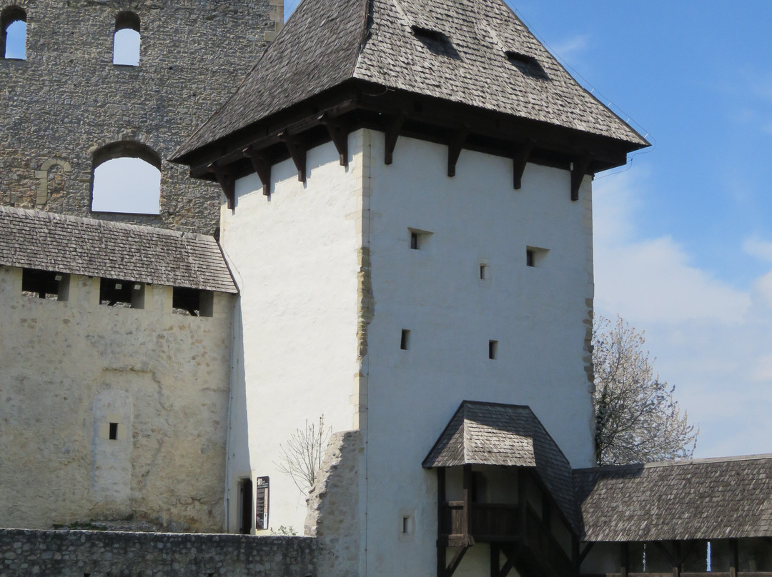 Celje Castle-Celje必去景点