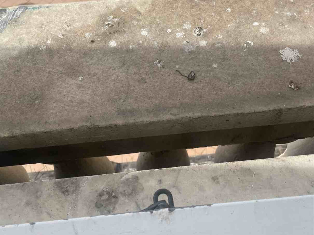 Grand Hotel Mediterranée主图