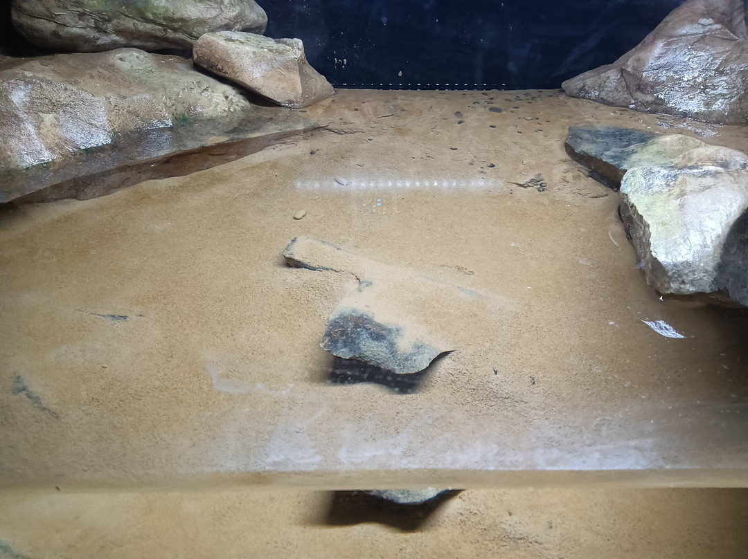 Vivarium
