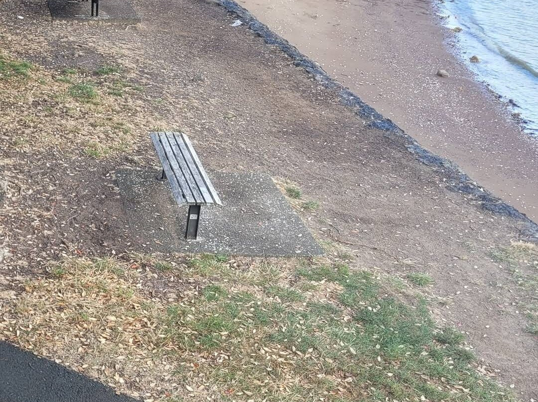 Hinemoa Park-Birkenhead必去景点