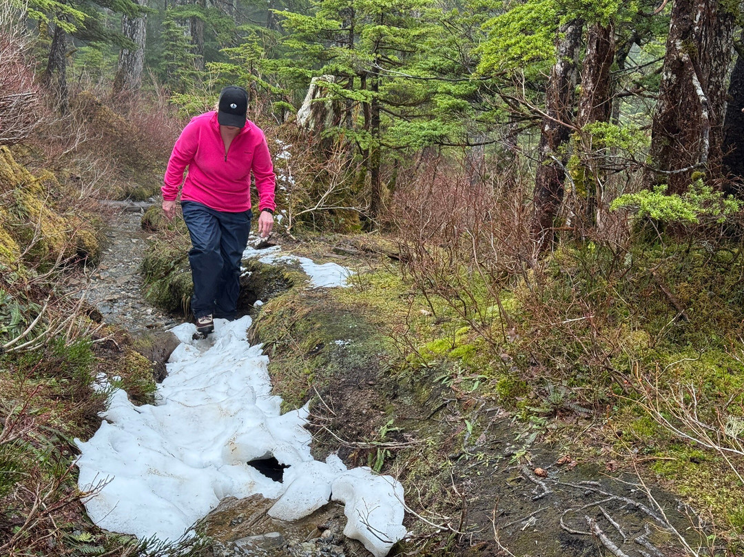Deer Mountain Trail-凯奇坎必去景点