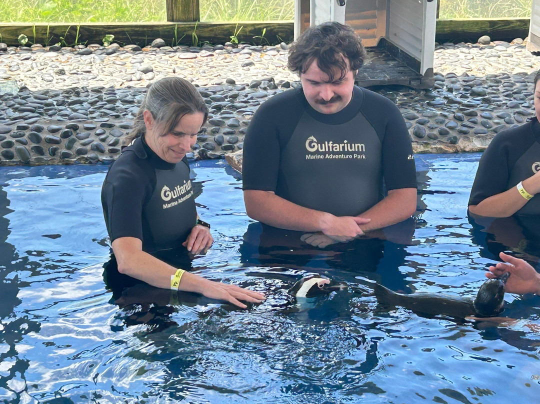 Gulfarium Marine Adventure Park-华尔顿堡滩必去景点