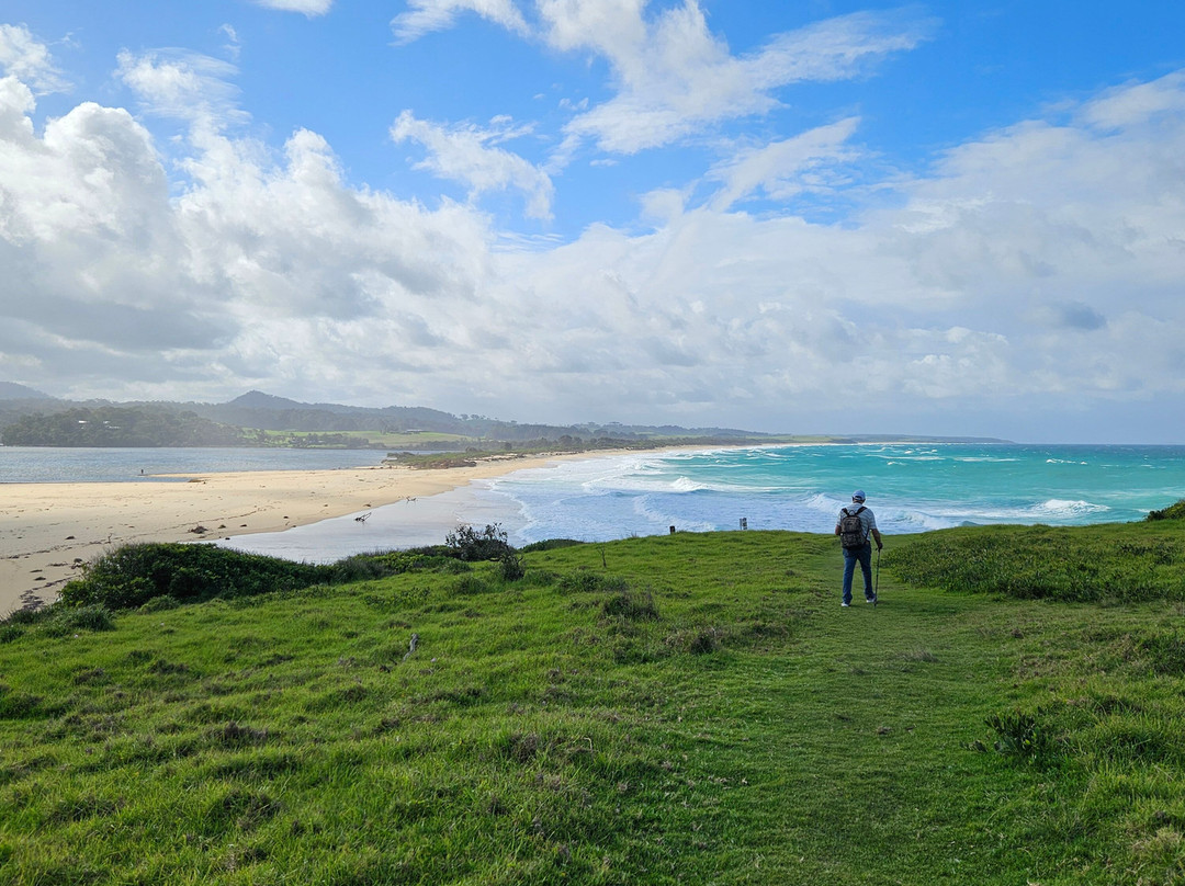 Bermagui Beach Hotel主图