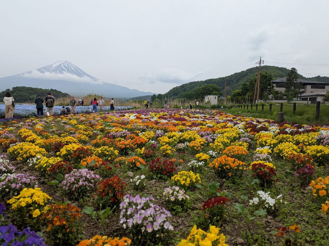 大石公园景点图片