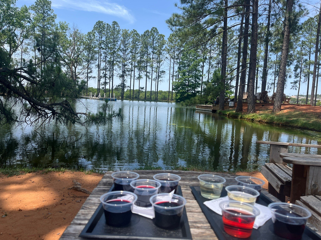 Fischer & Wieser's Das Peach Haus-弗雷德里克斯堡必去景点