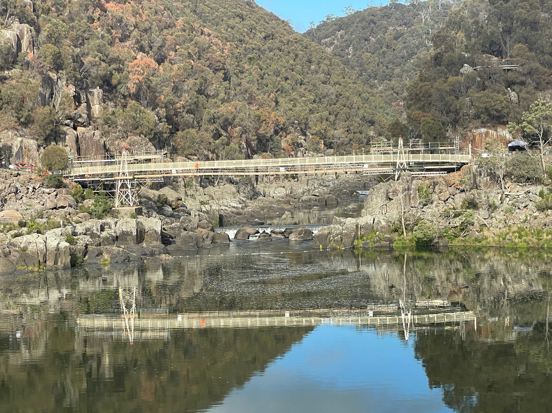 Alexandra Suspension Bridge-朗塞斯顿必去景点