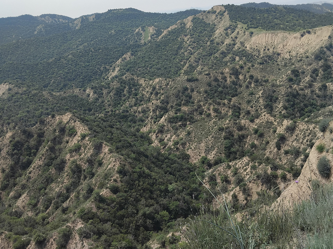 Georgian Photo Safari-Dedoplistskaro必去景点