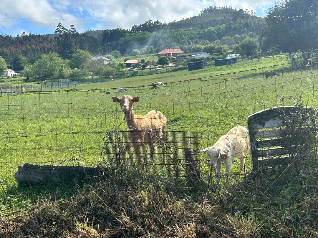 El Castano Dormilon主图