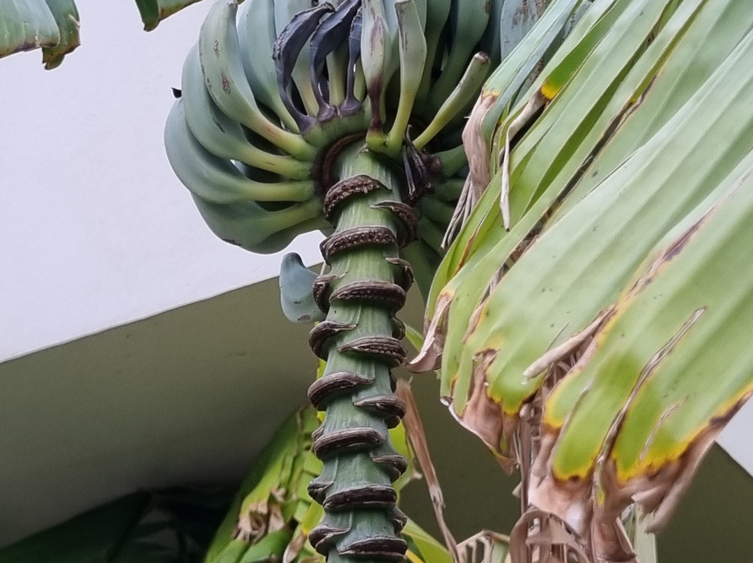 阿吉斯缇斯酒店主图