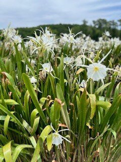 NC Outdoor Adventures-Bakersville必去景点