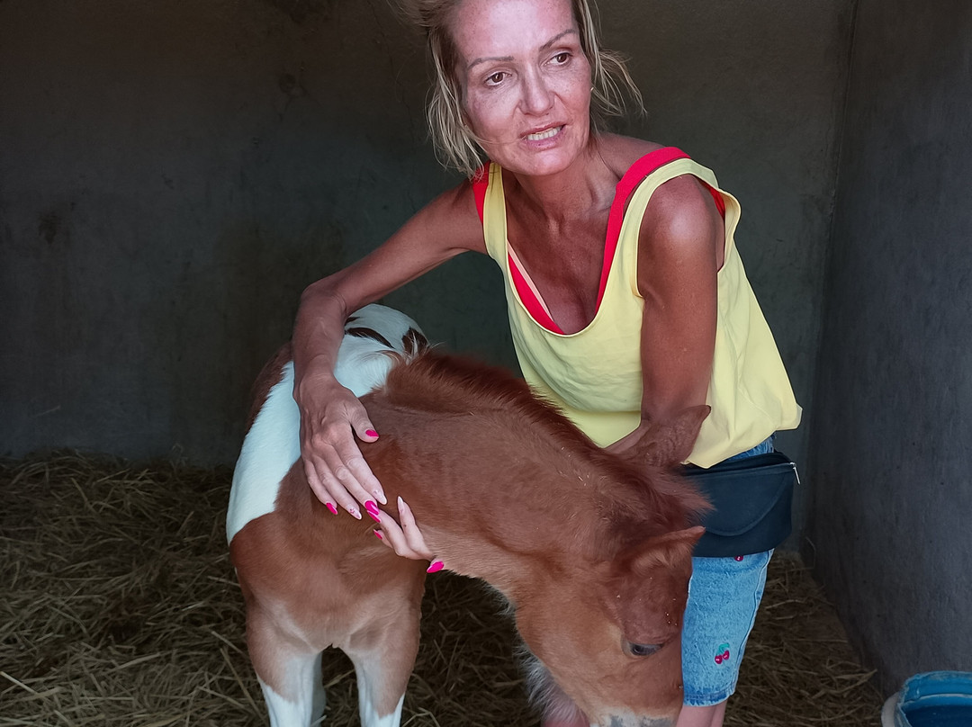 Horse Safari Hurghada-赫尔格达必去景点