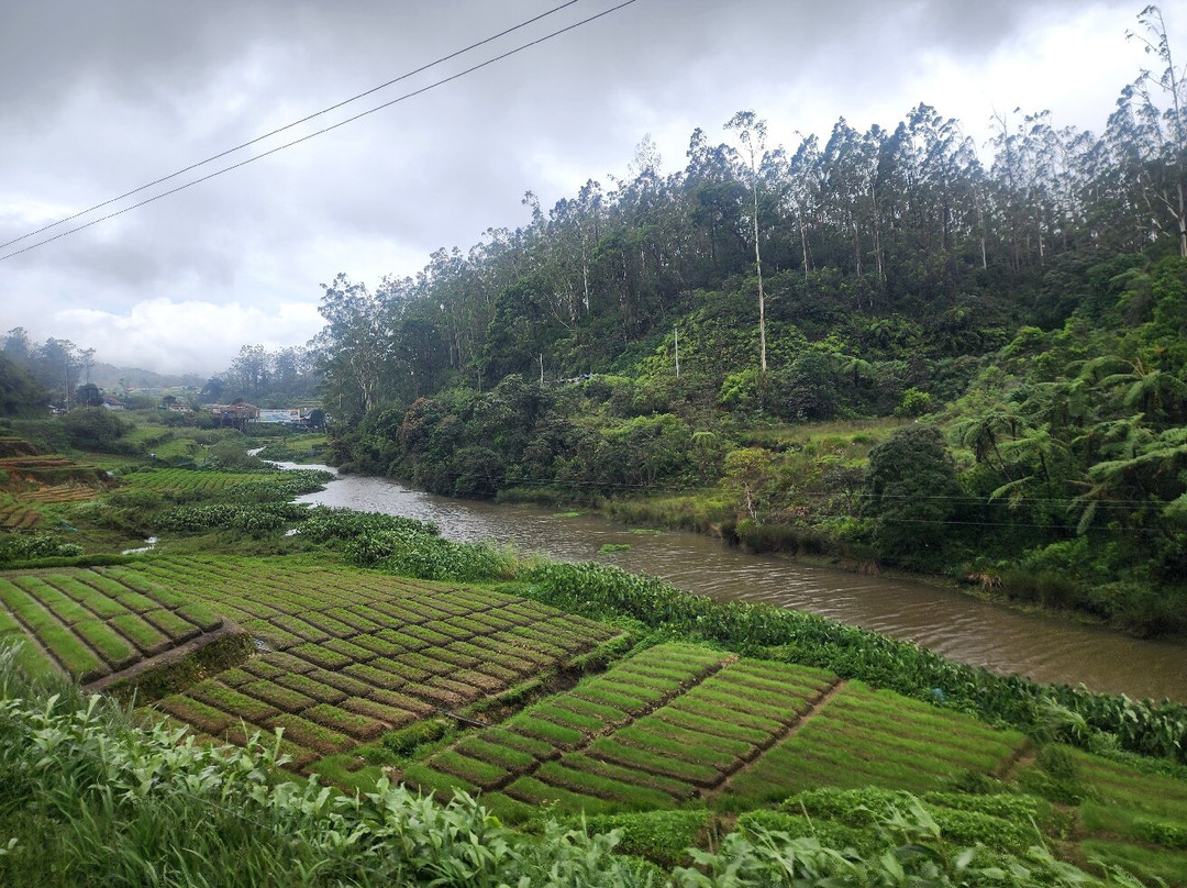 BH Lanka Tours景点图片