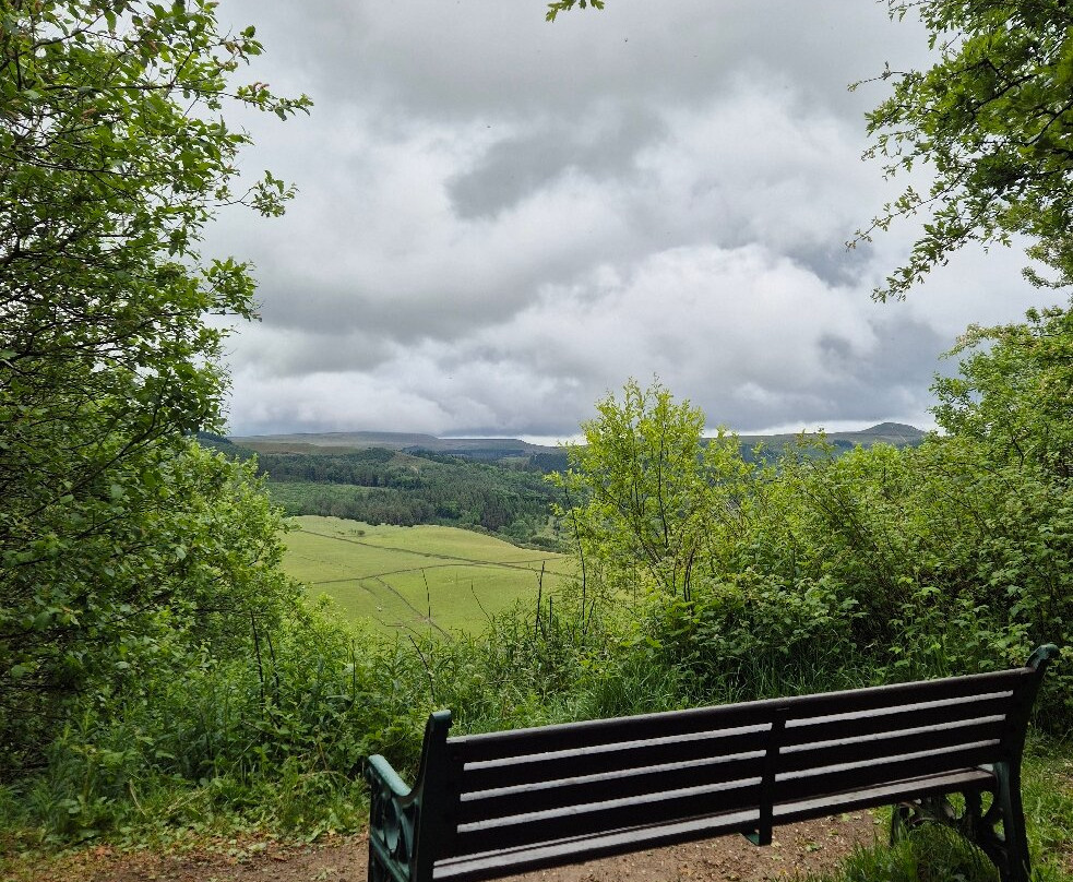 Tegg’s Nose Country Park-麦克尔斯菲尔德必去景点