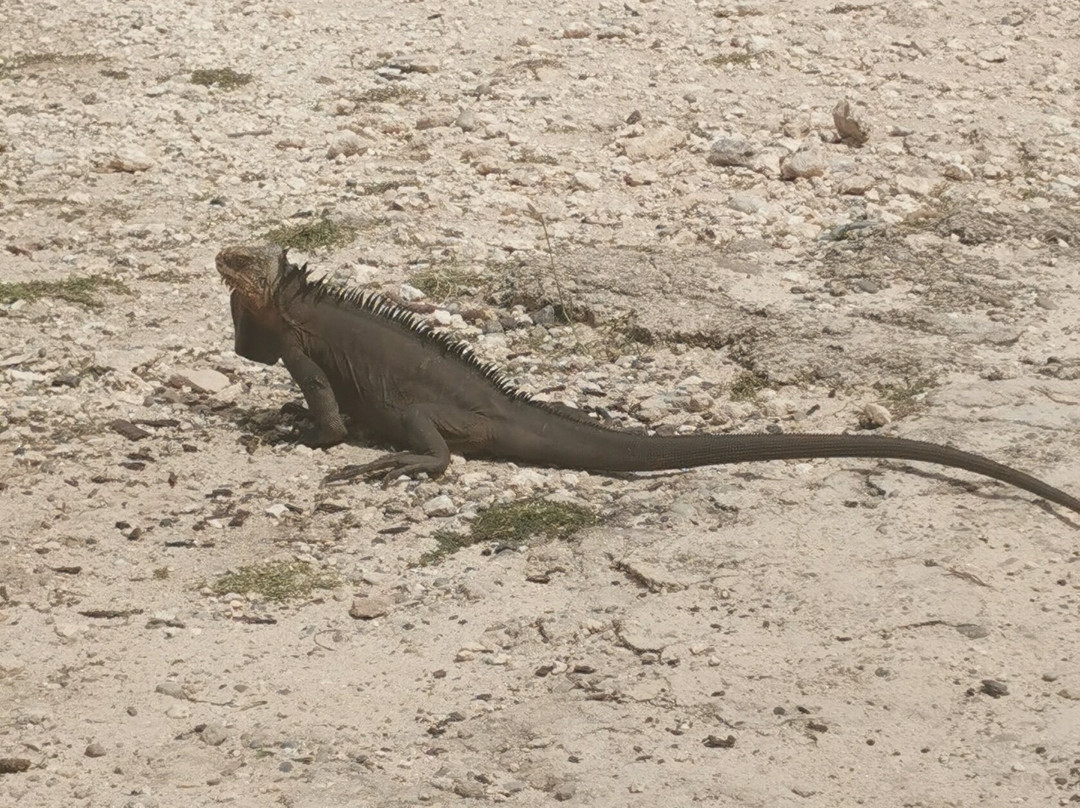 Sademar-Saint Francois必去景点