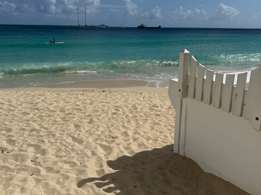 The Horny Toad Guest House主图