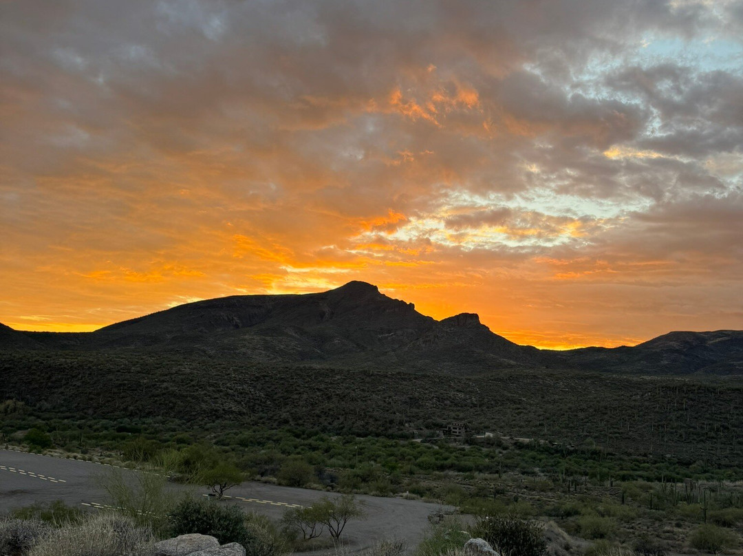 Arizona Horseback Adventures at Spur Cross-洞溪必去景点