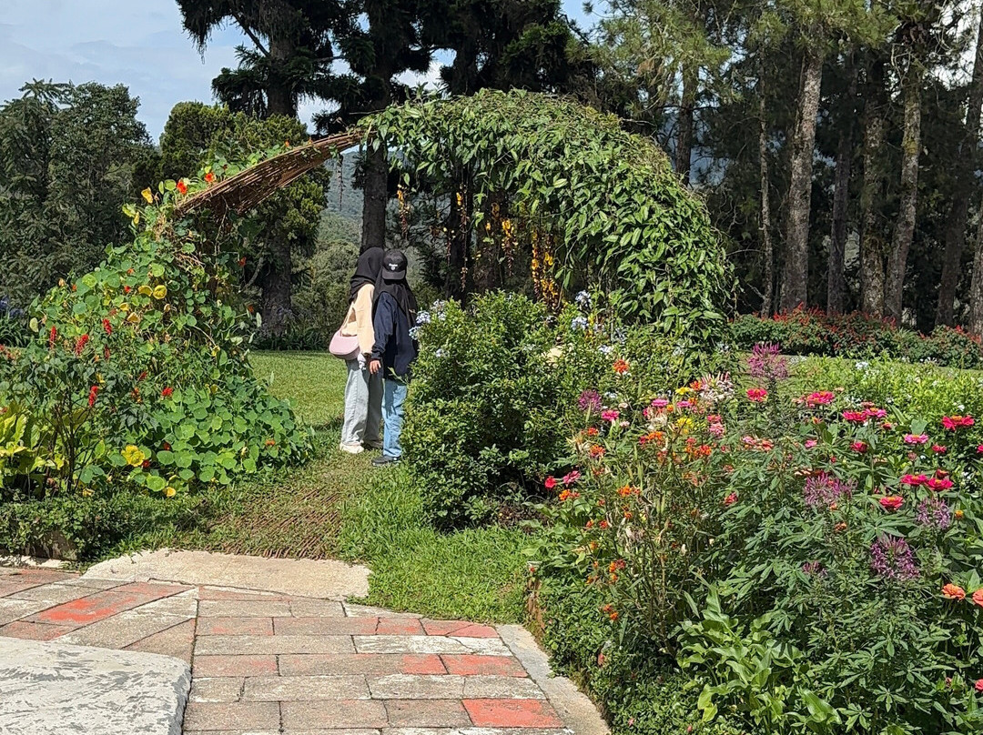 金马仑高原德拉菲儿斯酒店主图