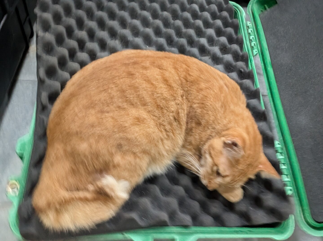 IDC Gili-吉利特拉万安必去景点