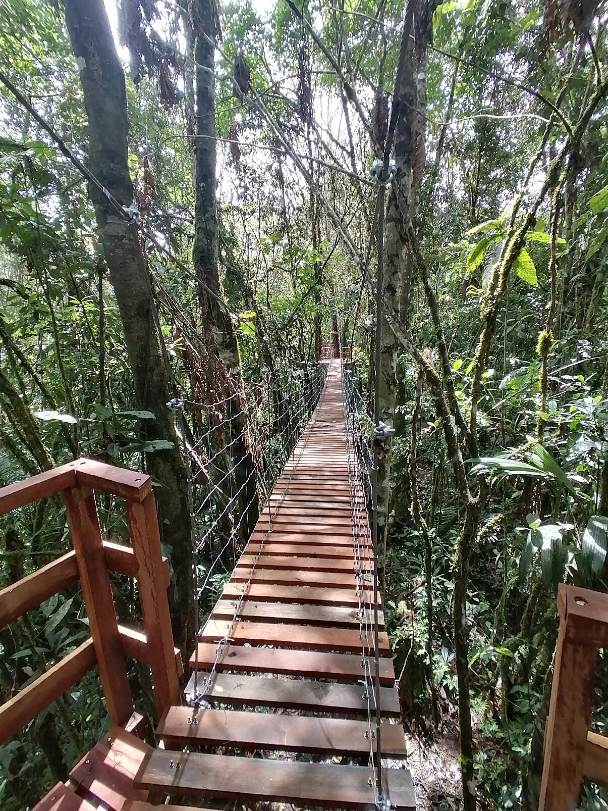 Altares de Oxapampa-官方