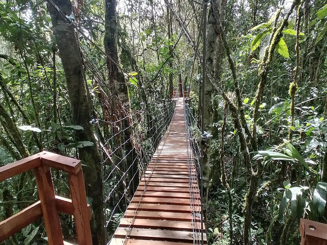 Altares de Oxapampa主图