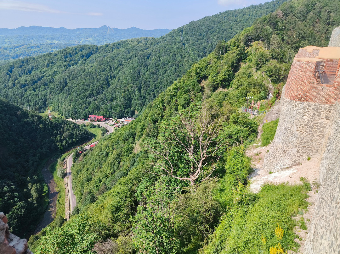 Poienari Castle-Arefu必去景点