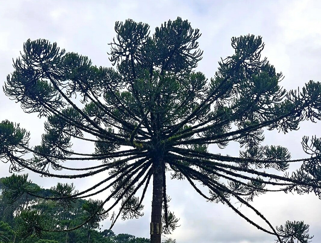 Aventura no Rancho-坎普斯－杜若尔当必去景点