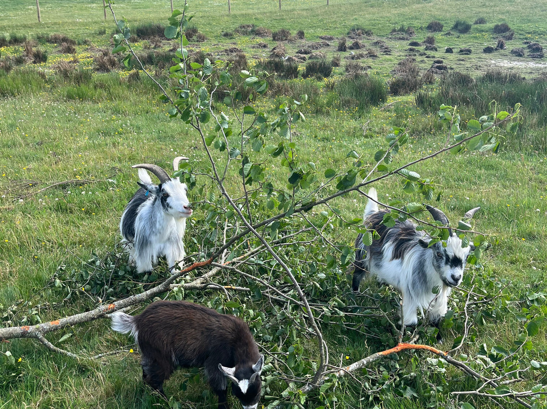 Invercannich Farm-Cannich必去景点