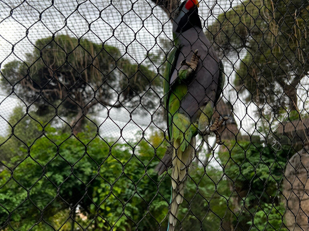 Alameda Wildlife Conservation Park-直布罗陀必去景点