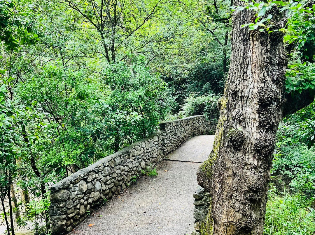 Parque Natural La Estanzuela-蒙特雷必去景点