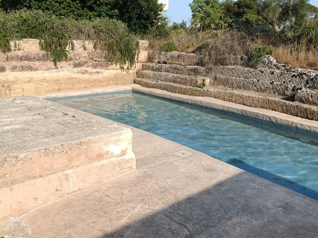 B&B Villa delle Palme主图