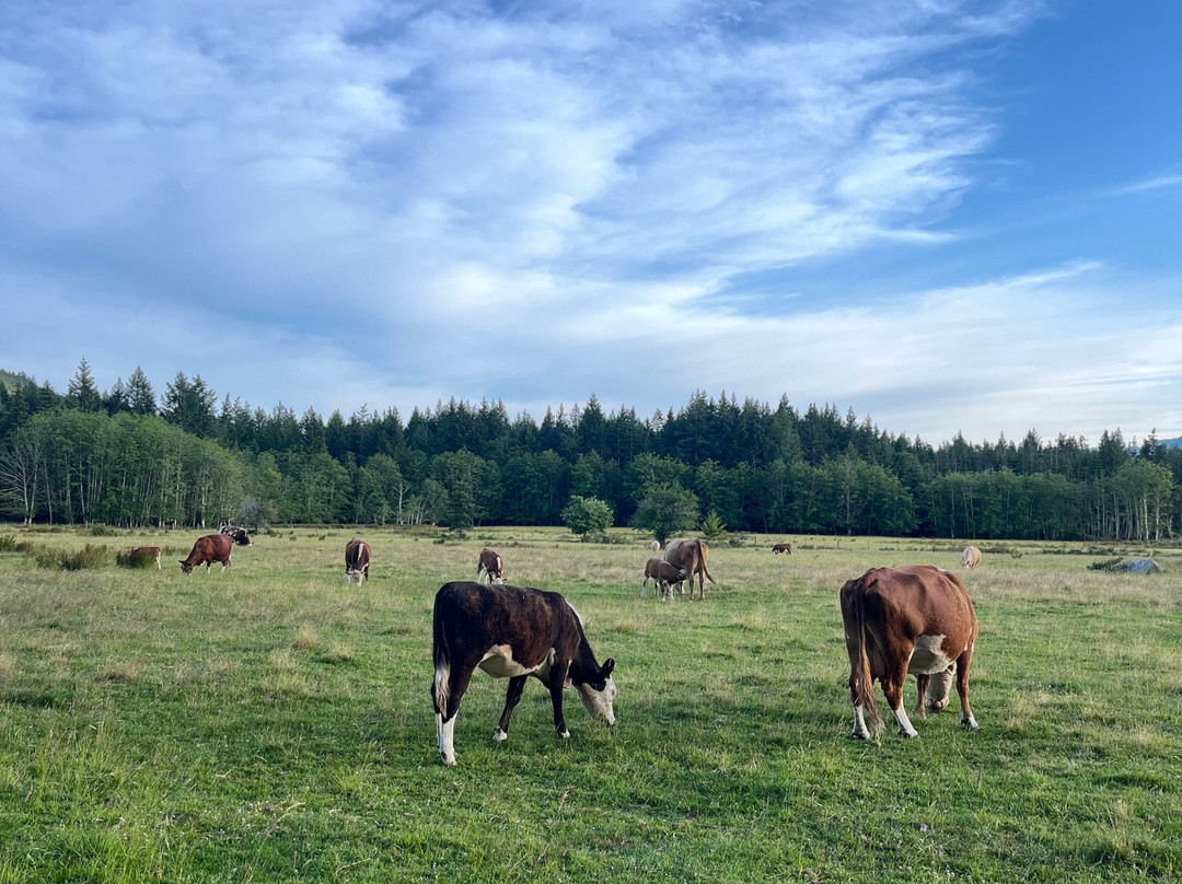 Fossil Beach Farm-Hornby Island必去景点
