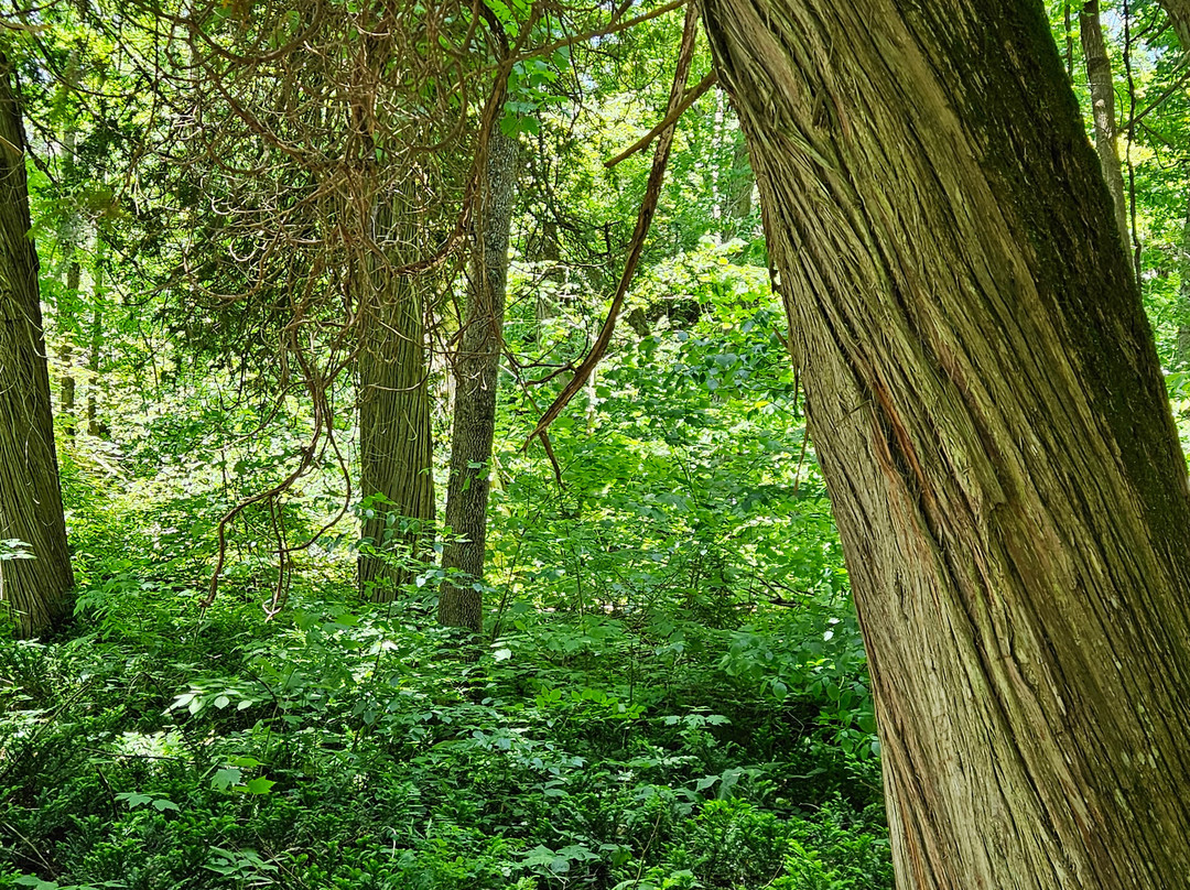 Manitou Island Transit-Leland必去景点