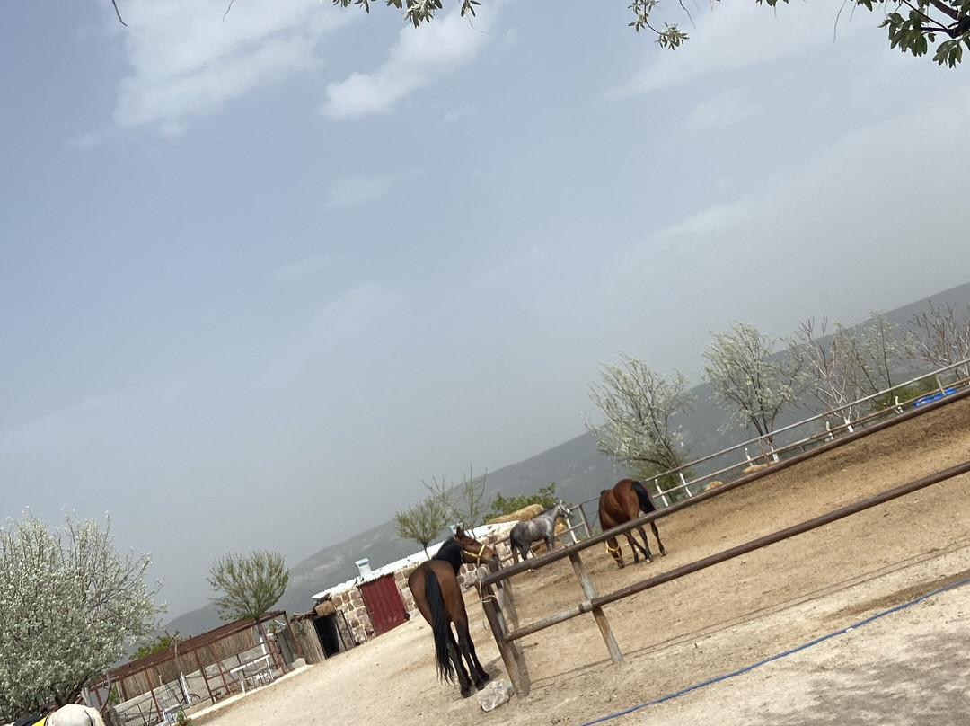 Cemal Ranch-奥塔西萨必去景点