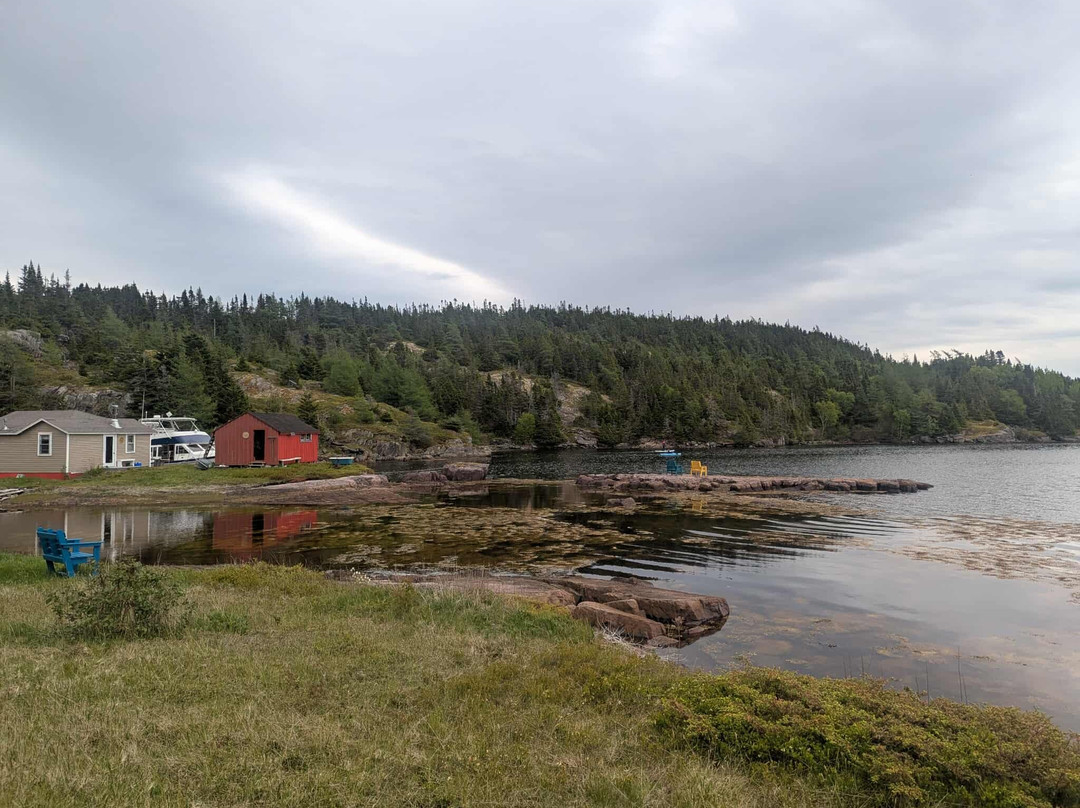 Gypsy Sea Adventures-Clarenville必去景点